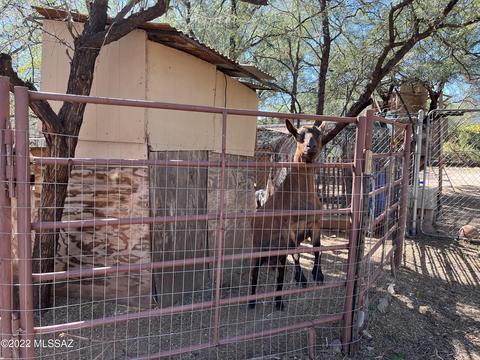 3959 E Pinal St, Tucson, AZ 85739 photo 25