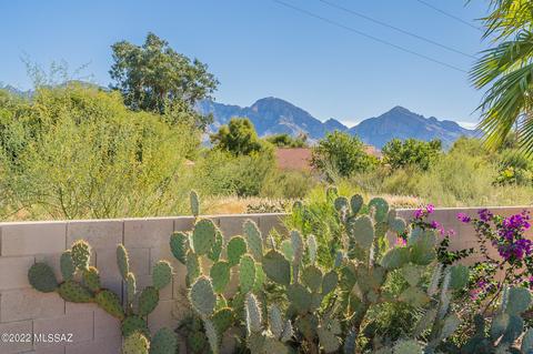 138 Elixir Pl, Oro Valley, AZ 85755 photo 20