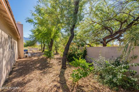 138 Elixir Pl, Oro Valley, AZ 85755 photo 17