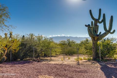 11240 E Stetson Pl, Tucson, AZ 85749 photo 5