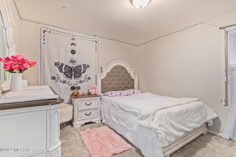 14218 E Hub Dr, Vail, AZ 85641 photo 27