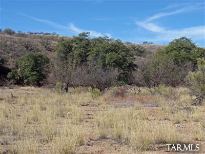 111 Lado De Loma Dr, Patagonia, AZ 85624
