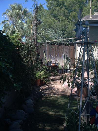 6830 E 39th St, Tucson, AZ 85730 photo 9