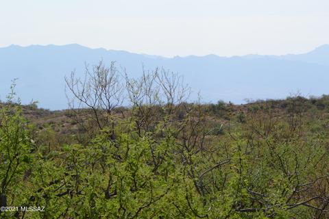 tbd S Ez Duz It Ln, Oracle, AZ 85623