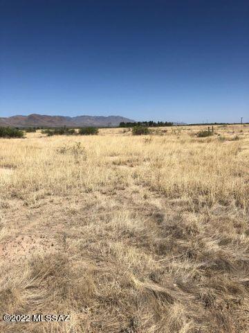 fort grant road, Willcox, AZ 85643 photo 2