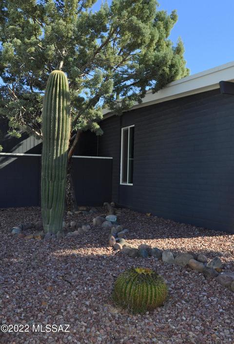3231 S Champlain Ave, Tucson, AZ 85730 photo 40