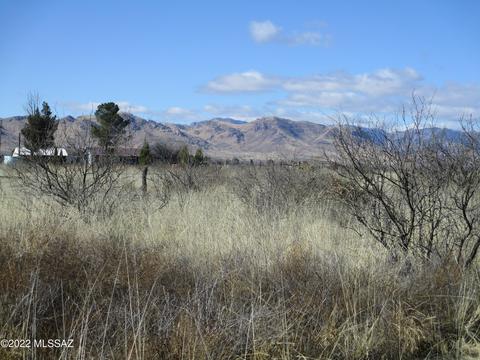 3918 W Moores Ln, Willcox, AZ 85643 photo 9
