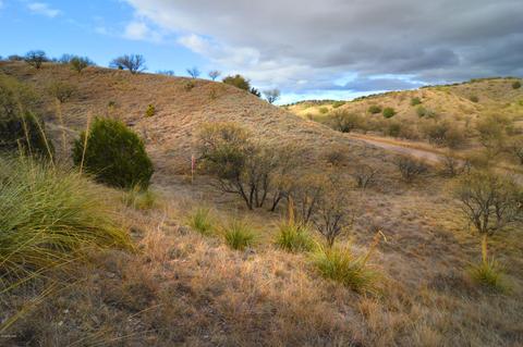 lot5 Tanglehead Ln, Patagonia, AZ 85624