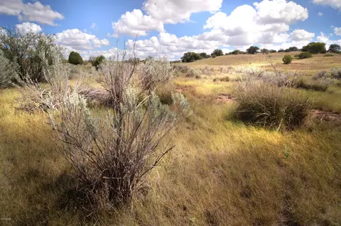 1 Tanglehead Ln, Patagonia, AZ 85624