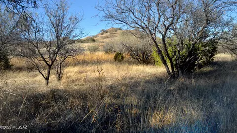lot11 Tanglehead Ln, Patagonia, AZ 85624