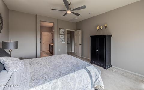 10336 S Buggy Pl, Vail, AZ 85641 photo 18