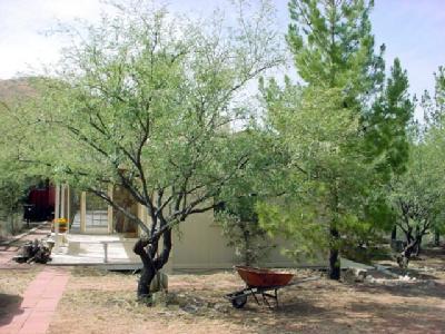 20350 S Marauders Trl, Vail, AZ 85641 photo 16