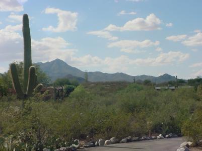 4740 N Paseo De Los Rancheros, Tucson, AZ 85745 photo 13