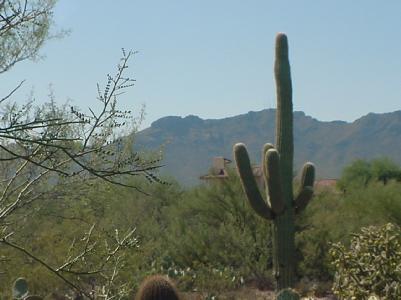 4740 N Paseo De Los Rancheros, Tucson, AZ 85745 photo 2