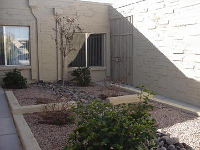 536 E Savannah Ave, Vail, AZ 85641 photo 2