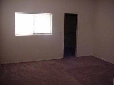 536 E Savannah Ave, Vail, AZ 85641 photo 3