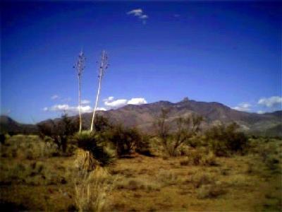 6144 S Tomahawk Trl, Willcox, AZ 85643 photo 1