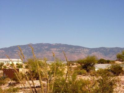 14326 E Nature Creek Pl, Vail, AZ 85641 photo 3