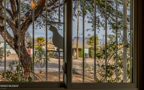 4528 E 9th St, Tucson, AZ 85711 photo 20