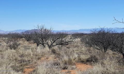 1 E Lot E Downing St, Pearce, AZ 85625 photo 4