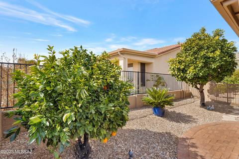 62229 E Sand Crest Dr, Tucson, AZ 85739 photo 38