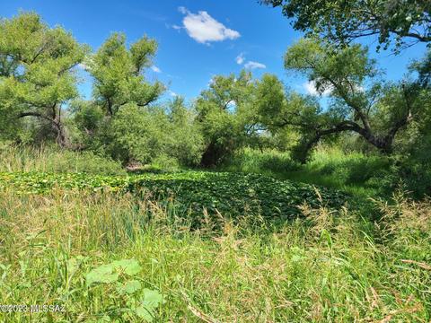 Curtis Rd - Curtis Farms Lot 2, Saint David, AZ 85630