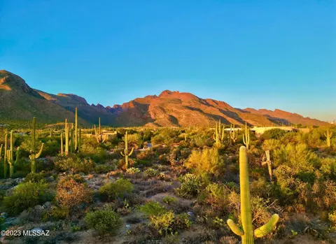 1496 E Canyon Spring Ct, Tucson, AZ 85718