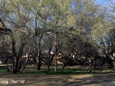 7747 E River Forest Pl #-, Tucson, AZ 85715 photo 12