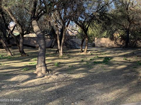 7747 E River Forest Pl #-, Tucson, AZ 85715 photo 11
