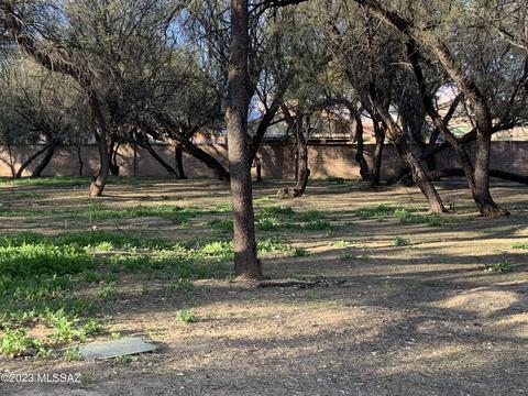7747 E River Forest Pl #-, Tucson, AZ 85715 photo 10