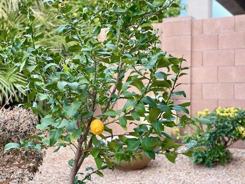 13797 E Carruthers St, Vail, AZ 85641 photo 22