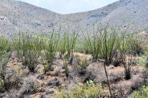 0 E Ocotillo Rim Trl, Vail, AZ 85641 photo 4