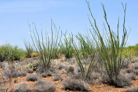 0 E Ocotillo Rim Trl, Vail, AZ 85641 photo 2
