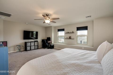 12087 E Domnitch Dr, Vail, AZ 85641 photo 19