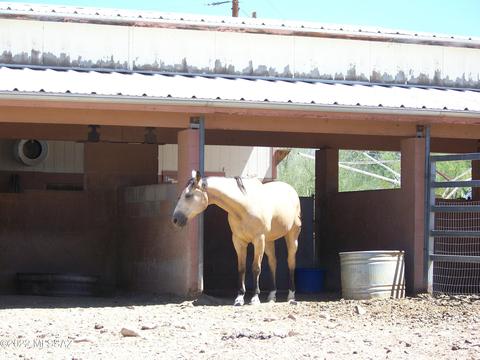 9001 Eagle Feather Rd, Tucson, AZ 85749 photo 34