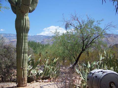 9001 Eagle Feather Rd, Tucson, AZ 85749 photo 37