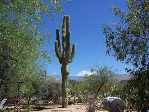 9001 Eagle Feather Rd, Tucson, AZ 85749 photo 36