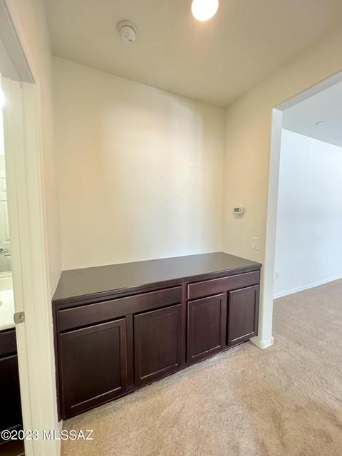 172 E Adytum Pl, Vail, AZ 85641 photo 10