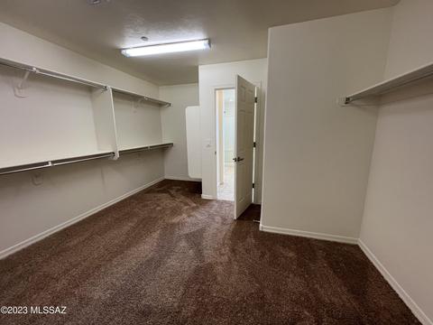172 E Adytum Pl, Vail, AZ 85641 photo 28