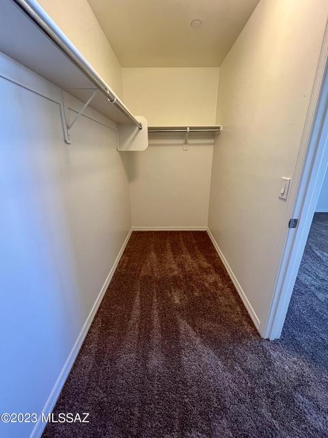 172 E Adytum Pl, Vail, AZ 85641 photo 31