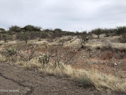 2033 Bowers Ct, Rio Rico, AZ 85648