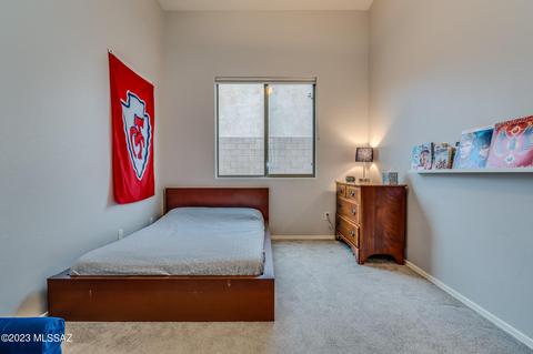 13821 E Red Hawk Sky Trail Trl, Vail, AZ 85641 photo 18