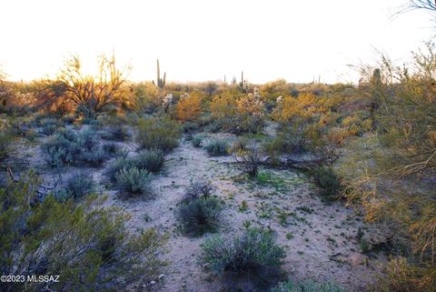 Blue Bonnet, Tucson, AZ 85742