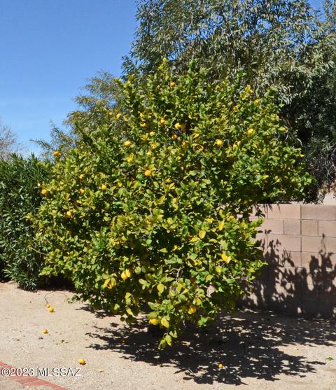 9931 Eugenia Dr, Tucson, AZ 85730 photo 49