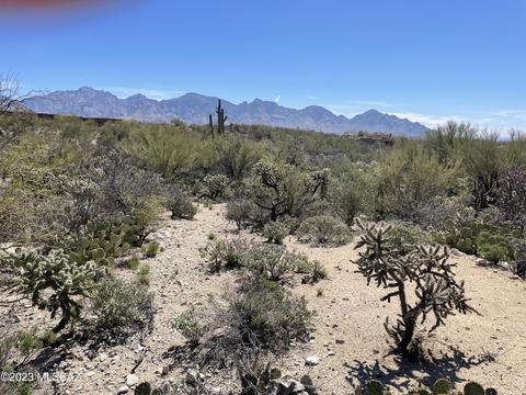534 E Dusty View Dr, Oro Valley, AZ 85755