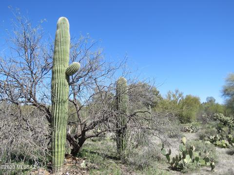 2400 W Limewood Dr, Tucson, AZ 85755