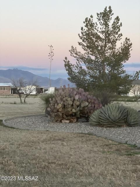 323 N Sunset Strip, Willcox, AZ 85643 photo 12
