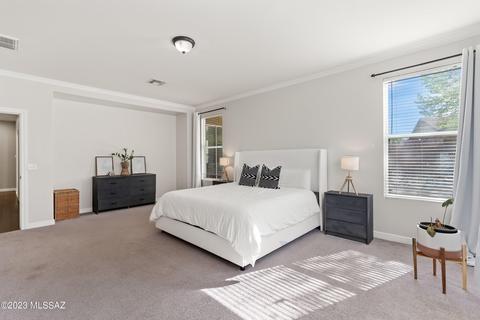11044 E Sageberry Way, Vail, AZ 85641 photo 8
