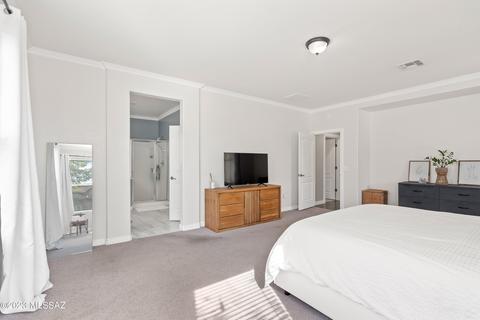 11044 E Sageberry Way, Vail, AZ 85641 photo 22