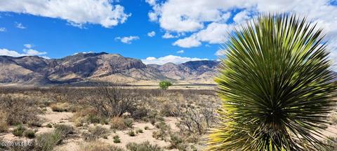 18 57 Acres Lobo Ln, San Simon, AZ 85632